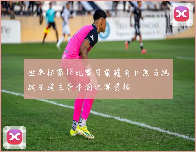 世界杯第18比赛日前瞻南非黑马挑战东道主争夺淘汰赛资格
